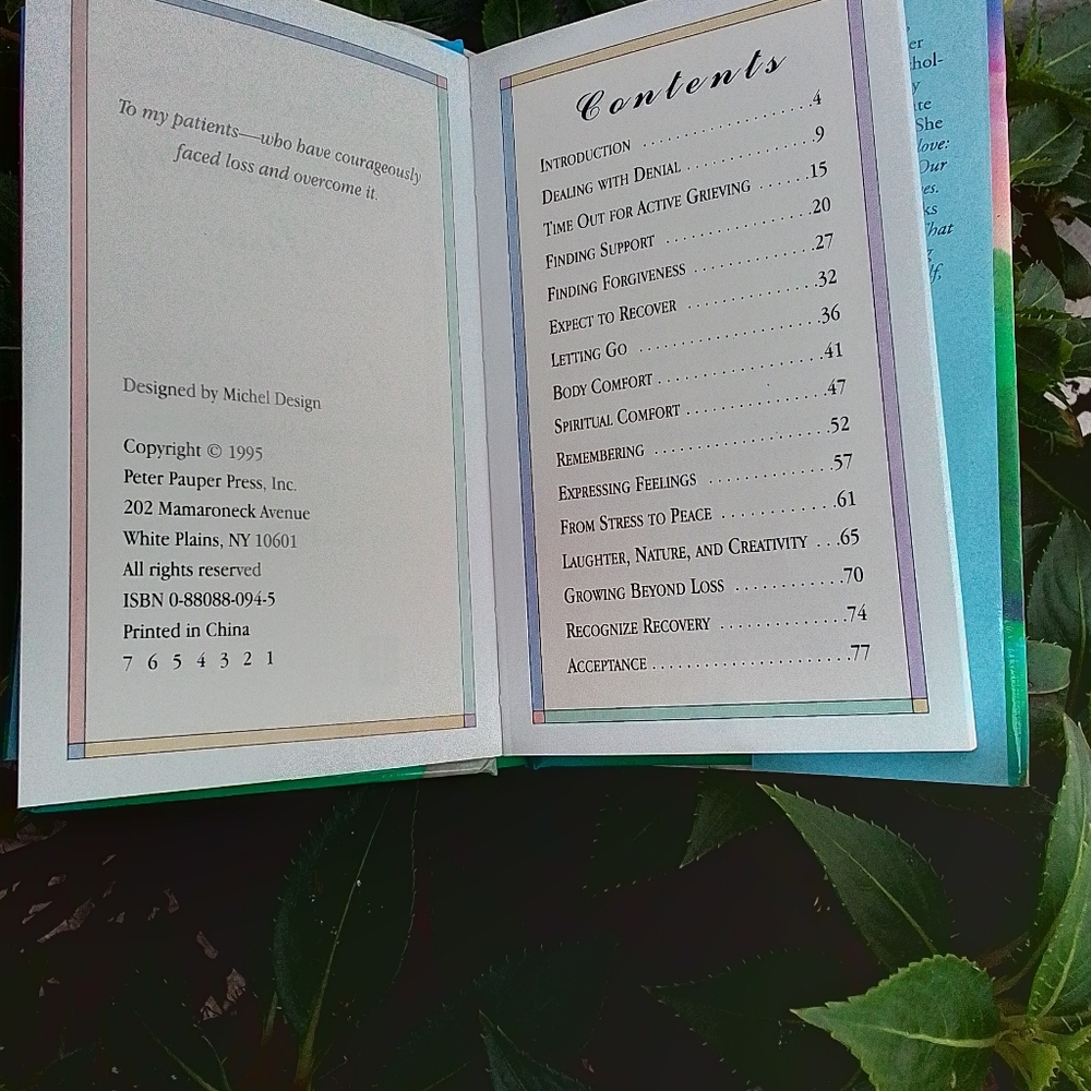 Book Small OVERCOMING LOSS - Picture 4 of 6